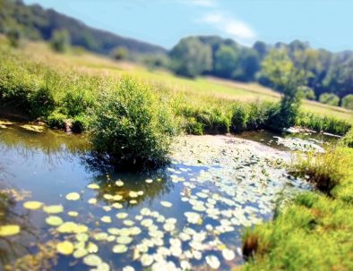 golf-toul-avrainville-biodiversité-eau