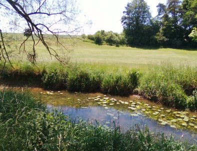 golf-toul-avrainville-bords-terrouin